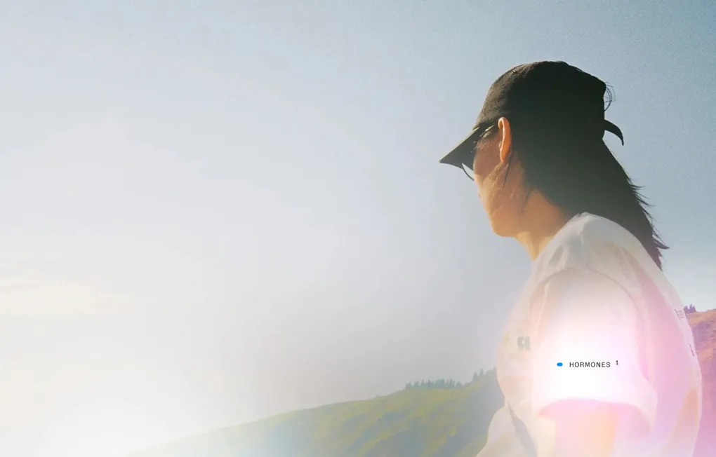 How Lucis Made Security a Default, Not a Tradeoff